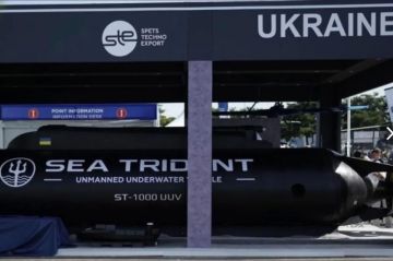Как Киев может применить дрон-подлодку Sea Trident и что он из себя представляет