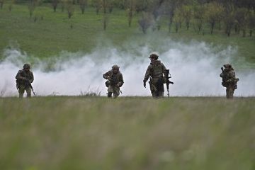Депутаты ЕП назвали решение Зеленского об отряде имени УПА противоречащим членству в ЕС