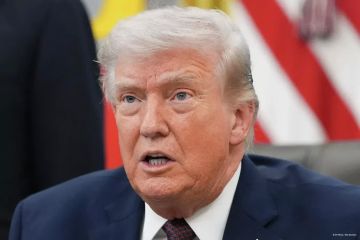 Трамп заявил, что сделает все возможное для урегулирования конфликта на Украине