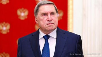 Представители всех 11 стран АСЕАН (Ассоциации государств Юго-Восточной Азии) примут участие в юбилейном саммите Россия — АСЕАН, который пройдет 17–18 июня в Казани, сообщил помощник президента РФ Юрий Ушаков