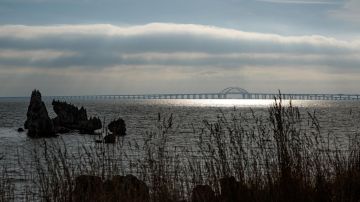 Важно для будущего – Медведев о решении суда в Гааге по Азовскому морю