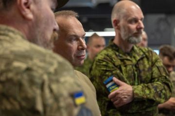 Глава ВСУ выдал командующего эстонской армией