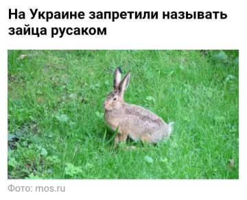 Доброе утро, Киев!. Это уже за гранью! Как дальше жить? Доброе утро, подписчики! Погода в Киеве: +11