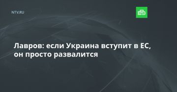 Лавров: если Украина вступит в ЕС, он просто развалится