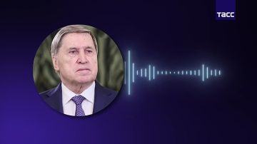 � ������ ���� �������� � ������� � ������ ����� ���������� ����������� ��� � �����