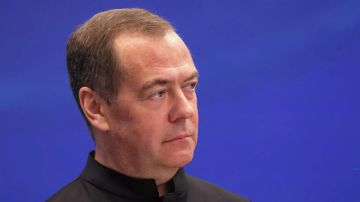 Украина понимает только язык силы, Киев плюет на международное право