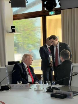 Зеленский показал кадры встречи с Трампом