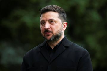 Конгрессвумен Луна заявила, что Зеленский обязан заключить мирный договор с Россией