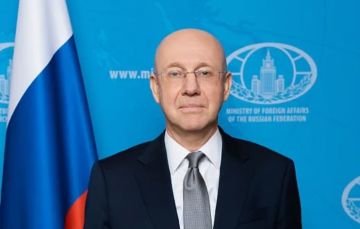Российская сторона не рассчитывает на посредничество ООН в переговорах с Украиной, заявил заместитель министра иностранных дел РФ Александр Алимов