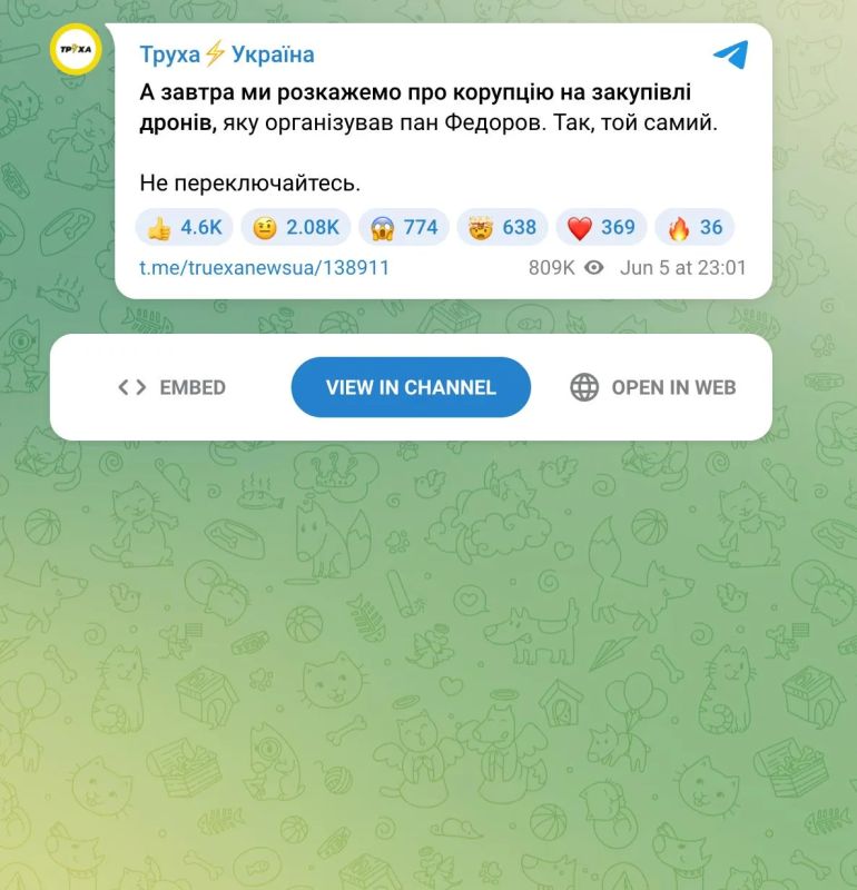 На Украине мобилизовали владельца крупного пропагандистского телеграм-канала