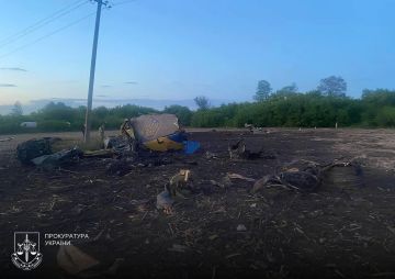 Фрагменты разбившегося вчера в Хмельницкой области бомбардировщика Су-24 ВВС Украины