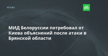 МИД Белоруссии потребовал от Киева объяснений после атаки в Брянской области
