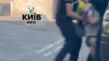 В Киеве полиция затолкала человека в бусик ТЦК, предварительно залив из перцового баллончика пытавшихся помочь прохожих