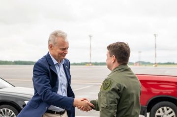 Президент Литвы едет в Брюссель поддерживать Украину и просить денег
