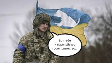 В Евросоюзе всё чаще подумывают ограничить приём украинцев призывного возраста