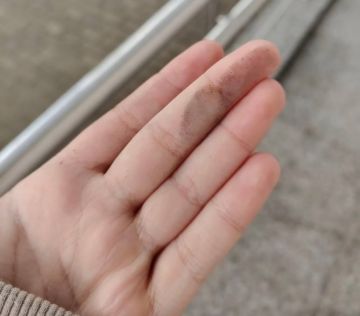 � ���� ������������� ���� � ����� "�������� �����" � ������ � ������� �������� � ��� ����