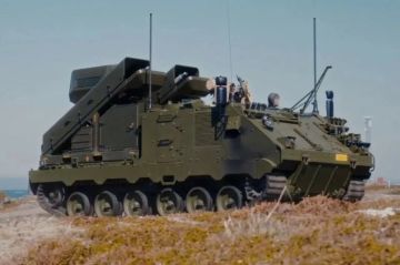 Украина также получила ЗРК Nomads