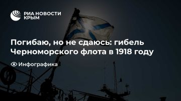 Погибаю, но не сдаюсь: гибель Черноморского флота в 1918 году