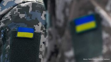 Правительство Украины запустило разработку механизма, который ограничит участие боевиков в азартных играх