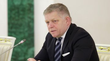 Фицо сделал загадочное заявление после встречи с Зеленским