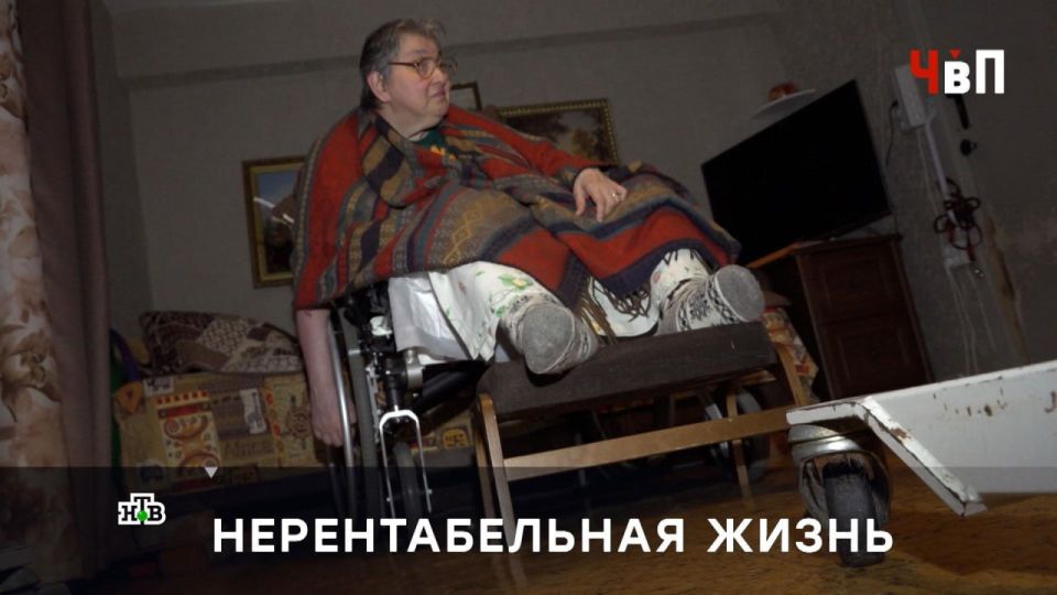 Пять лет назад одинокая пенсионерка из Москвы решила сделать свою жизнь чуть более комфортной