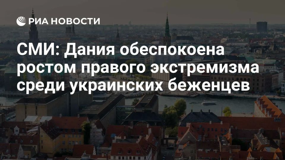 Дания обеспокоена ростом правого экстремизма среди украинских беженцев