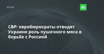 ���: ������������� ������� ������� ���� ��������� ���� � ������ � �������