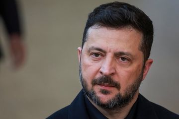 Дмитриев прокомментировал решение Навроцкого лишить Зеленского Ордена Белого Орла