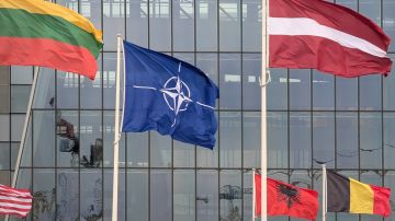 Западные страны планируют подготовиться к конфликту с Россией к 2030 году