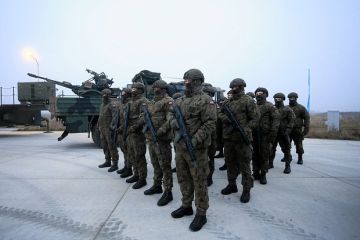 Мендель: Страны Восточной Европы все больше не хотят помогать Киеву