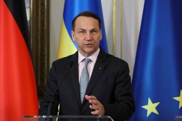���������: ������ ������ ����������� � ����������� � �������