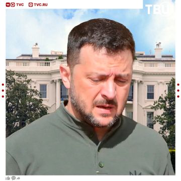 «Маленьким засранцем» называл Зеленского глава Минфина США