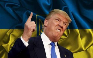 «Я не большой поклонник Украины»