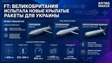 Великобритания испытала новые крылатые ракеты большой дальности для Украины в рамках проекта Brakestop, пишет Financial Times