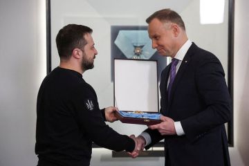 Сенатор Карасин: Лишение Зеленского высшей награды Польши — хороший урок лидеру Киева