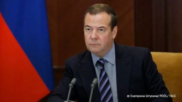 Главное из заявлений Дмитрия Медведева: