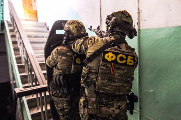 ФСБ задержала жителя Подмосковья за акции устрашения российских военных по заданию Украины