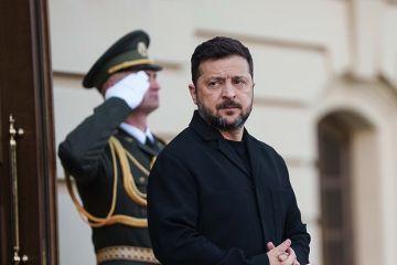 Финский политик Мема назвал Зеленского угрозой безопасности для Европы