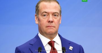 Медведев: никаких правил в отношении неонацистского Киева больше нет