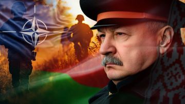 Ультиматум Киева в адрес Лукашенко выгоден Пекину? Координация начнётся очень скоро