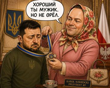 Александр Сосновский: Навроцкий -Зеленскому:. - Хороший ты мужик