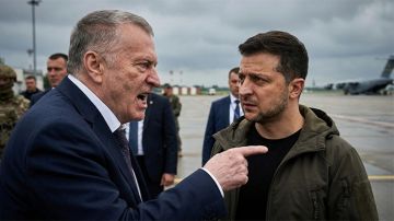 Как в воду глядел. Жириновский рассказал о последних днях Зеленского