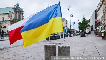 Зеленский vs. Навроцкий: Ссора, грозящая войной