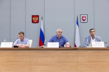 Армен Гаспарян: власти Крыма оперативно реагируют на все вызовы