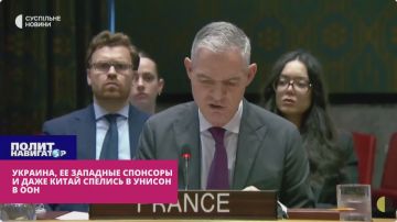 США больше не сдерживаются и вместе с Европой катят бочку на Россию в ООН