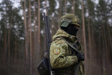 Спикер ГПСУ Демченко опроверг концентрацию войск ВС Белоруссии в приграничных районах