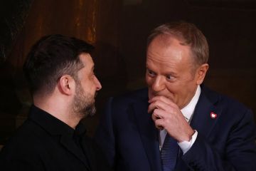 Туск: Конференция по Украине будет более конструктивной без Зеленского