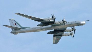 ВКС России разбомбили остров с британским спецназом под Николаевом