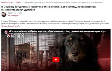 ������ ���� ������. � �������� ���������������� ������� ������� ���������� ���������� �� ���� ������� ������ ���� ��������� ������ �� ������ �����