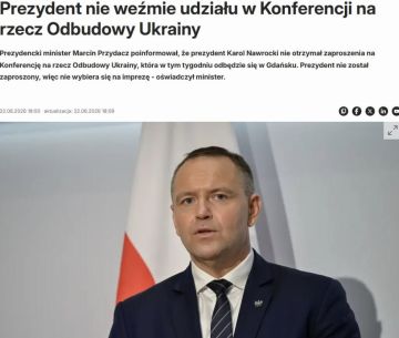 Навроцкий пропустит конференцию по восстановлению Украины